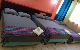 Hotel Green Monkey